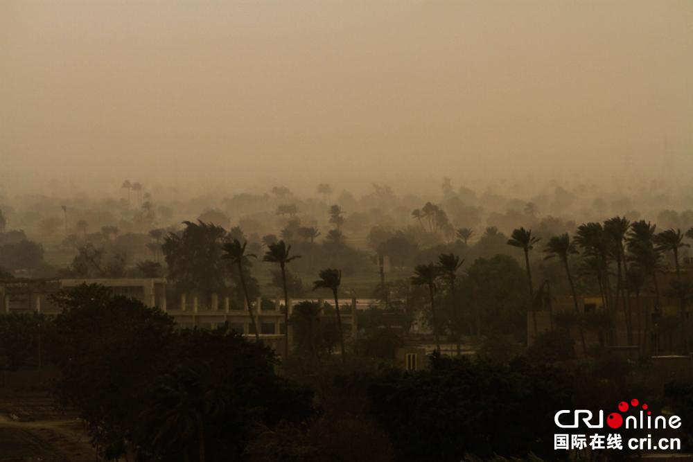  开罗遭沙尘暴袭击